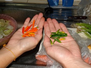 Can you tell which one is hotter? Watt said that you should never cook green peppers with any kind of green vegetable for the very simple reason that you won't be able to see them!