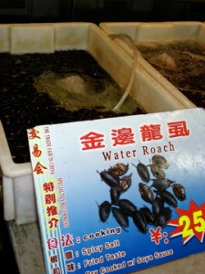 dsc04540 Wonder how these taste...