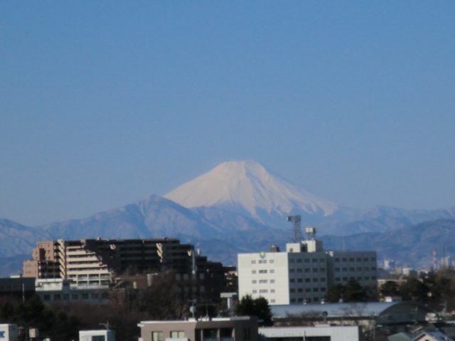 Fuji