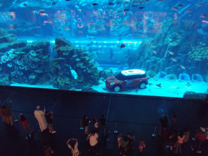 Dubai Aquarium