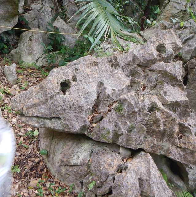 daisekirinzan-2