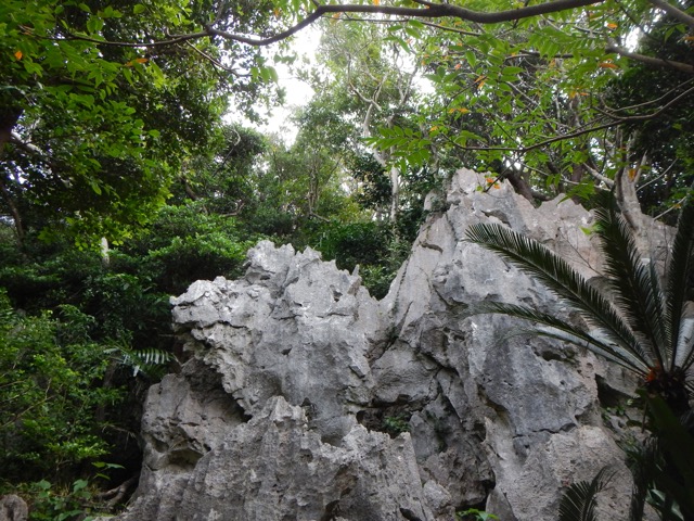 daisekirinzan-3