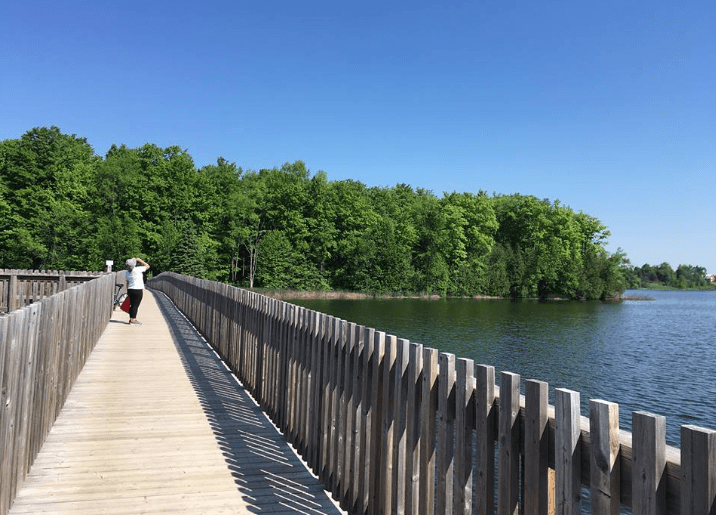 Screen Shot 2018-06-04 at 11.04.38